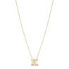 Mini Initial Necklace 14K Gold